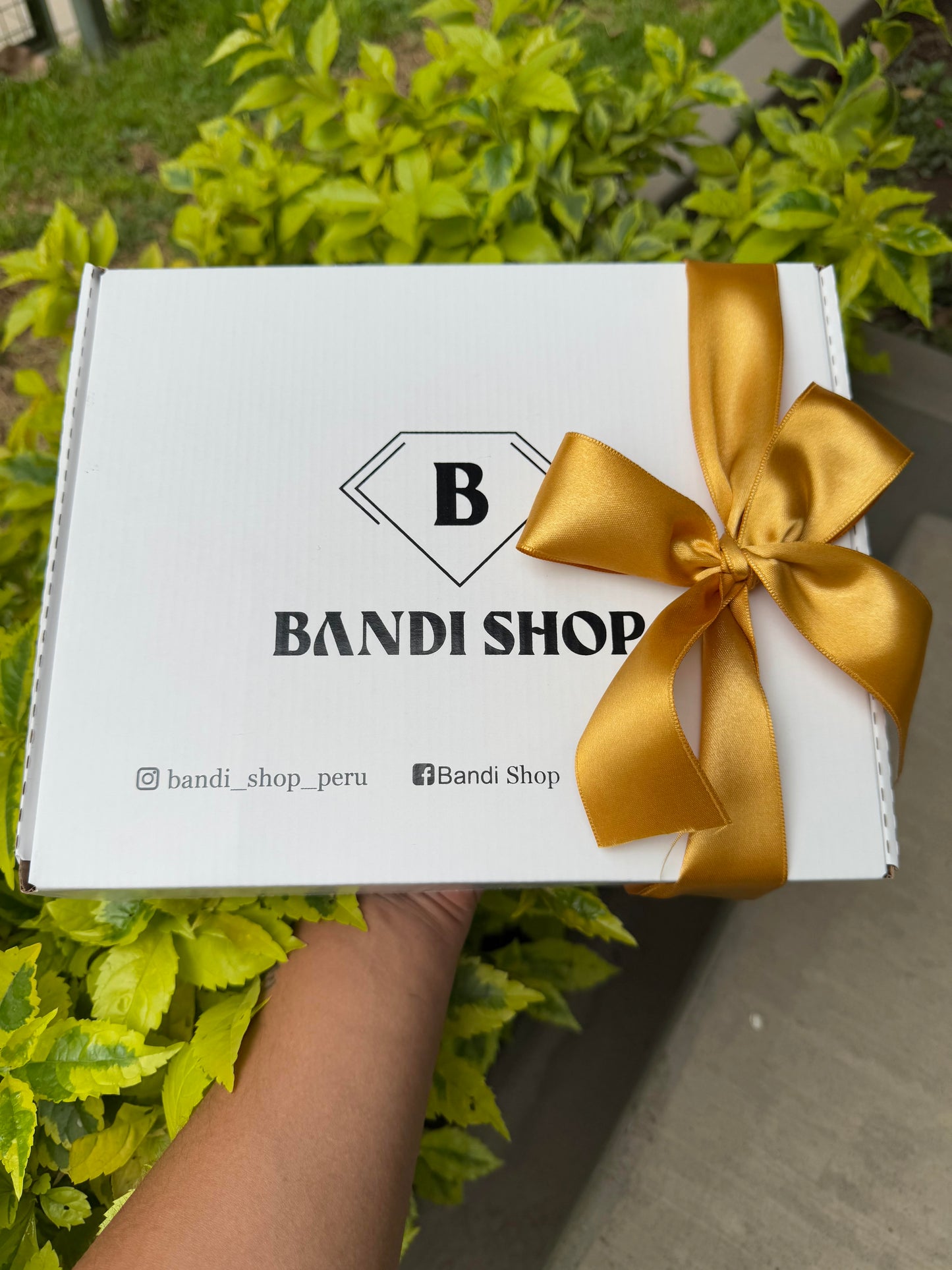 Box la llave de tu corazón