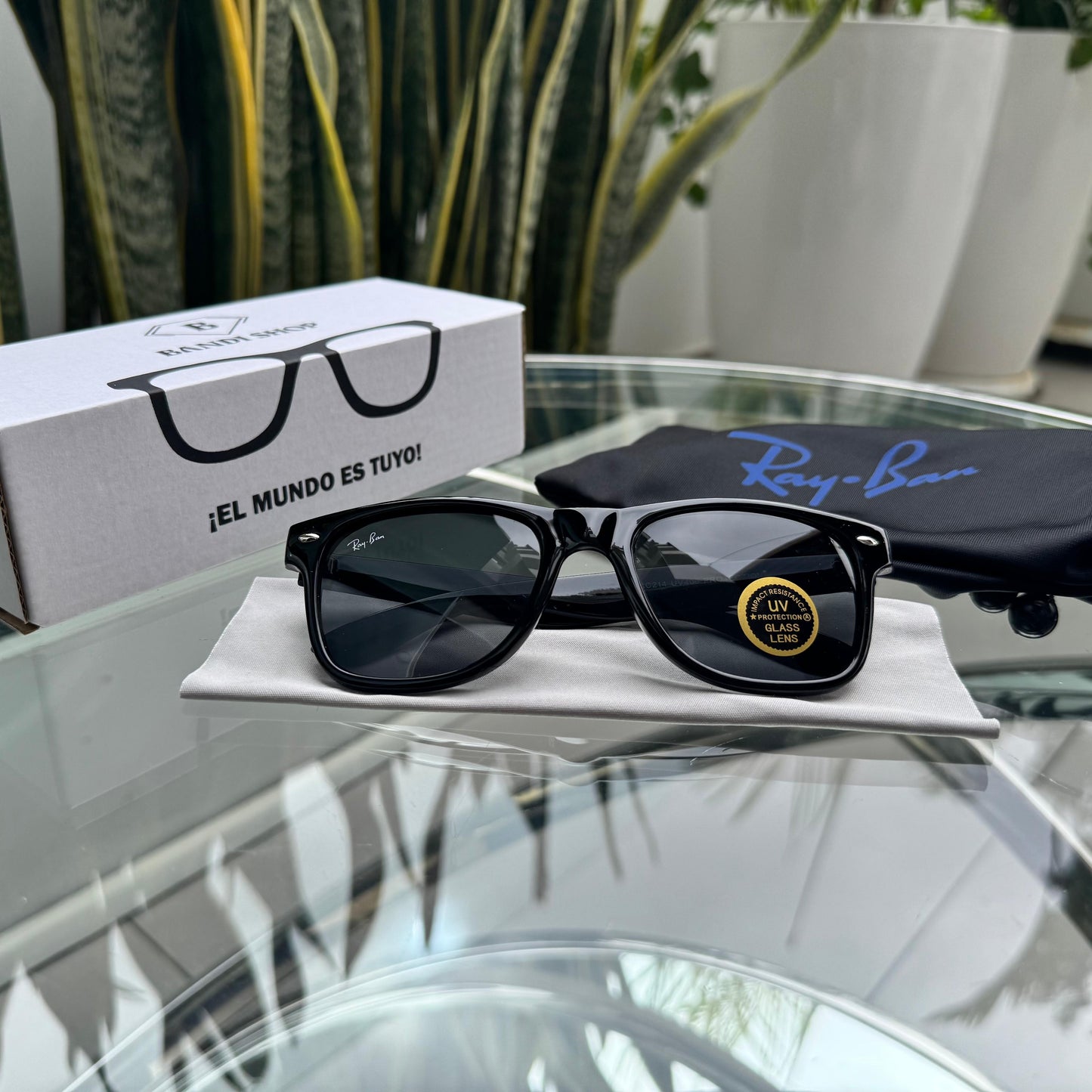 RB - Wayfarer Classic ⚫🟤