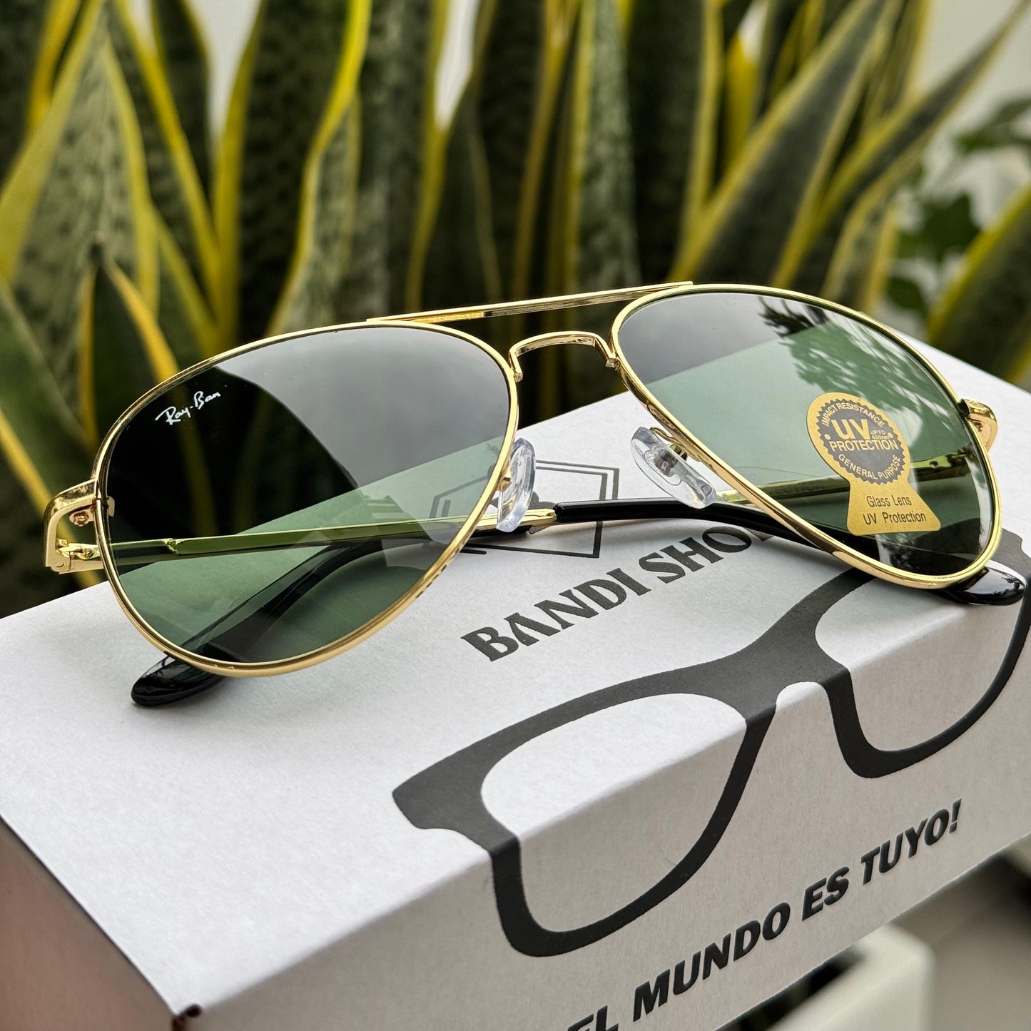 RB - Aviador Premium 🟢⚫🟤