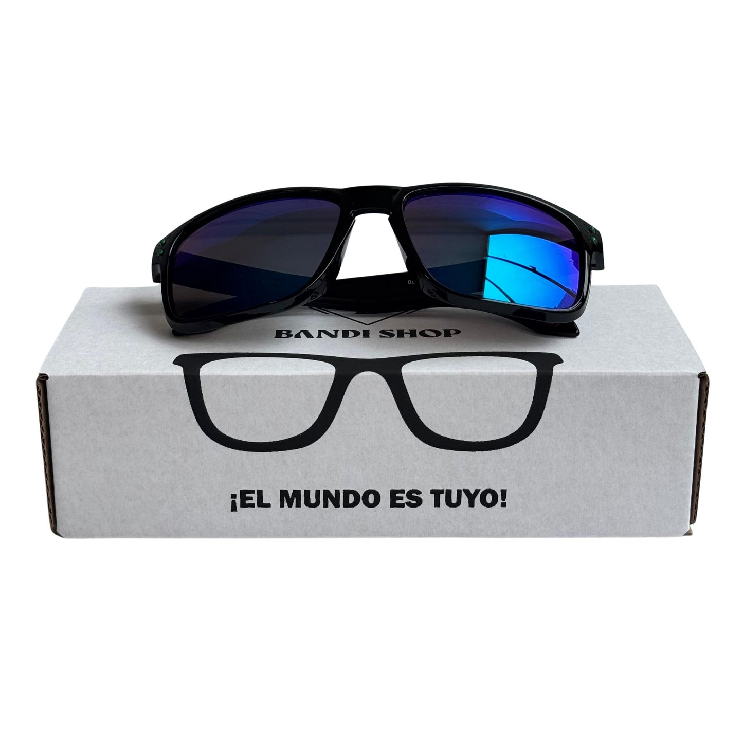 Holbrook A1 (Acetato) - Montura Negra Pulida