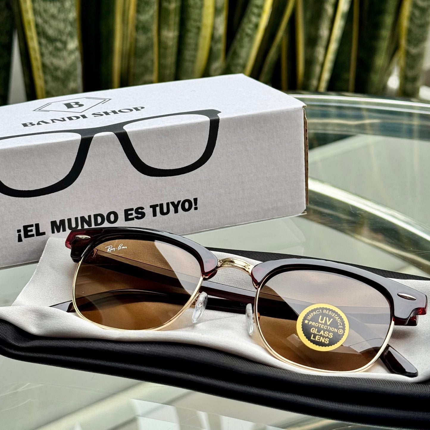 RB - Clubmaster 🟤