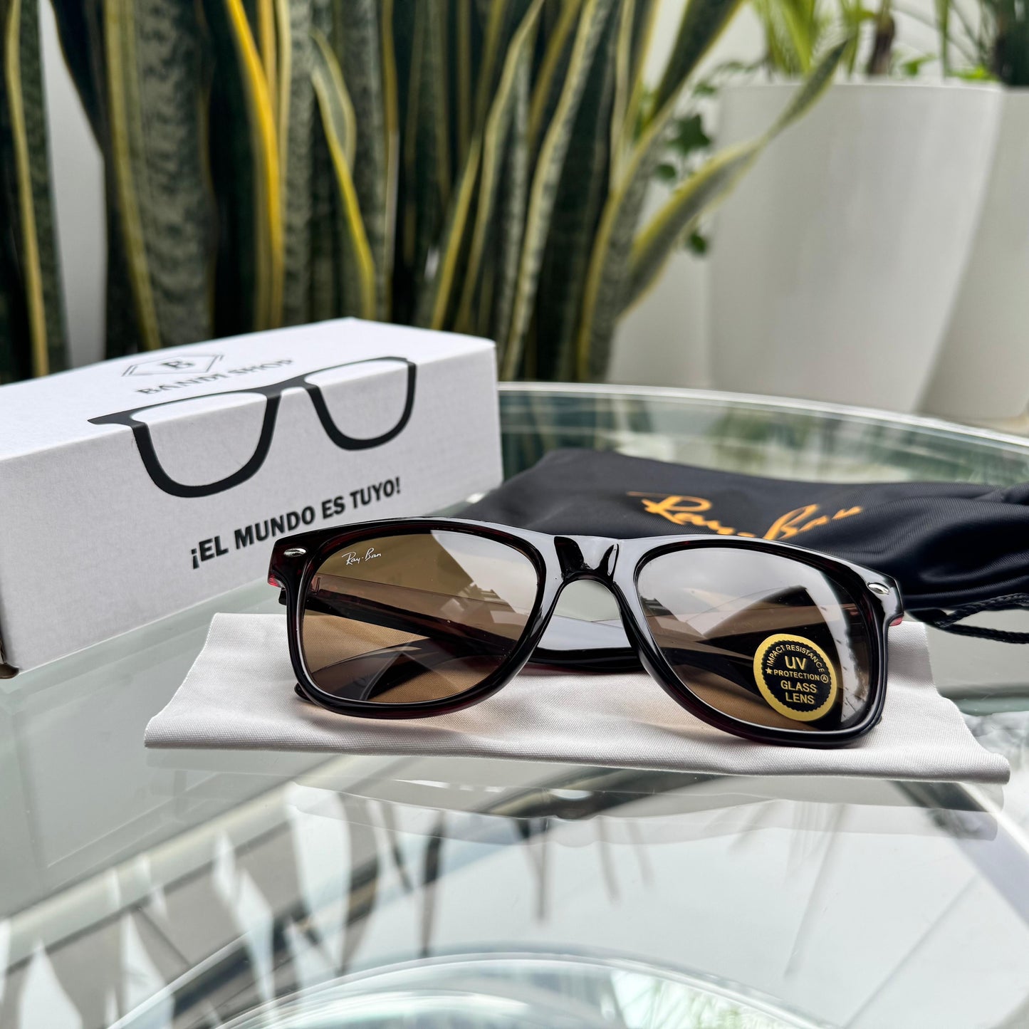 RB - Wayfarer Classic ⚫🟤