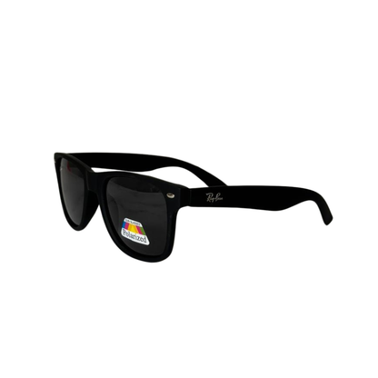 RB - Wayfarer Classic polarizado⚫🟤
